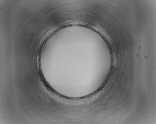 X0000073710014200608311806