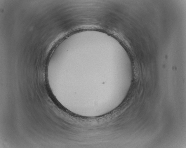 X0000073710015200608311806