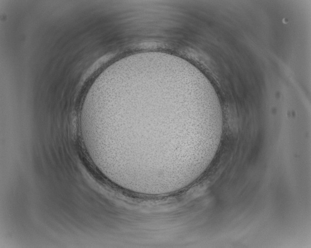 X0000073710016200608311806