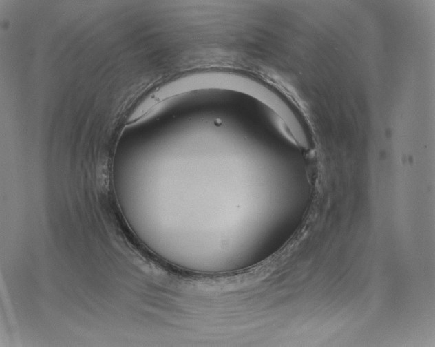 X0000073710017200608311806