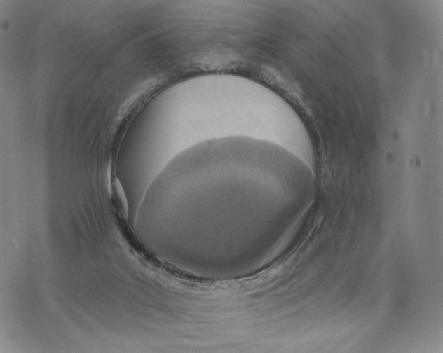 X0000073710019200608311806