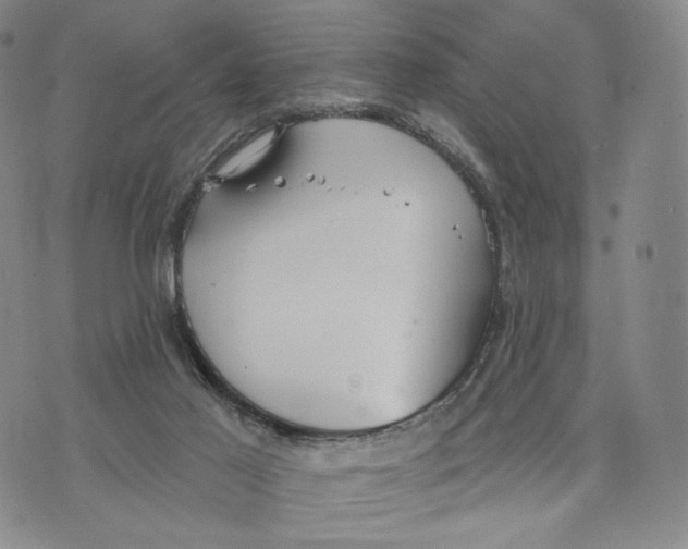 X0000073710021200608311806