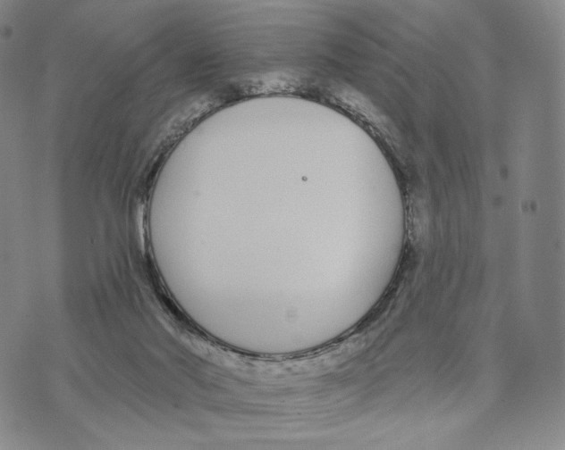 X0000073710022200608311806