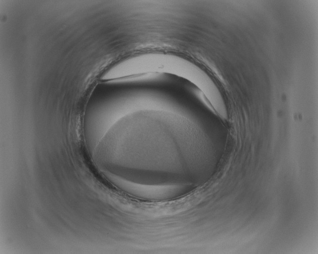 X0000073710023200608311806