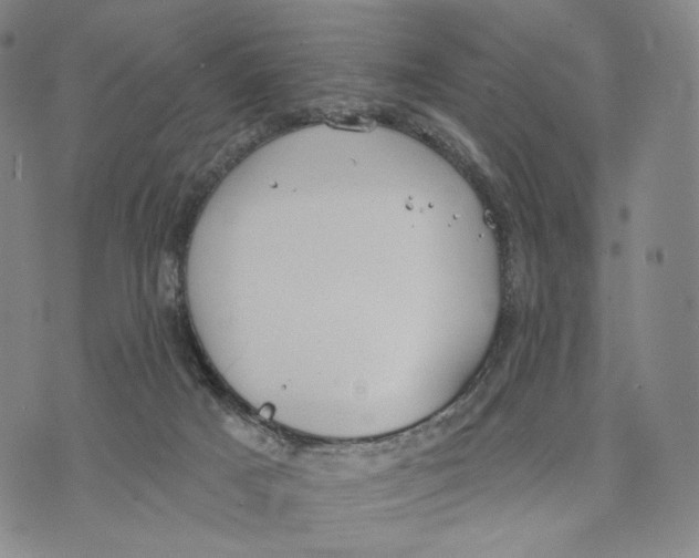 X0000073710025200608311806