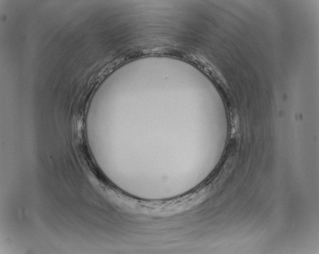 X0000073710026200608311806