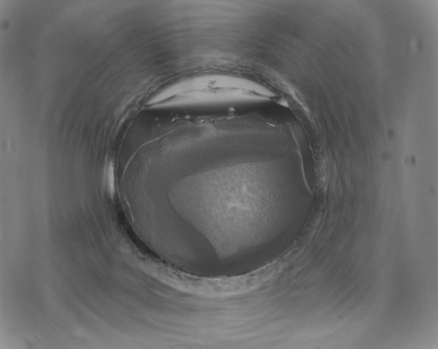 X0000073710027200608311806