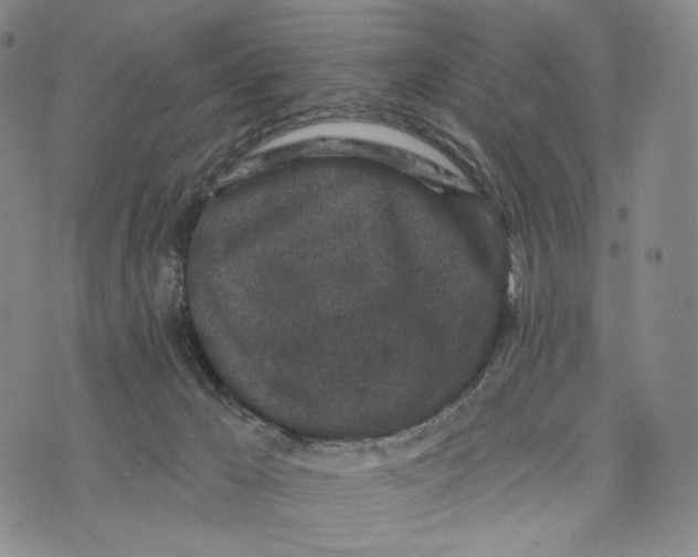 X0000073710029200608311806