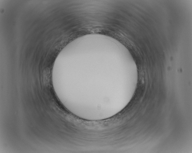 X0000073710030200608311806