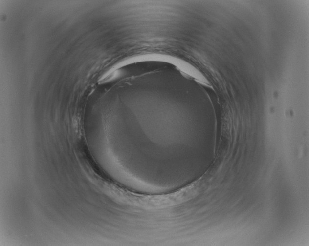 X0000073710031200608311806