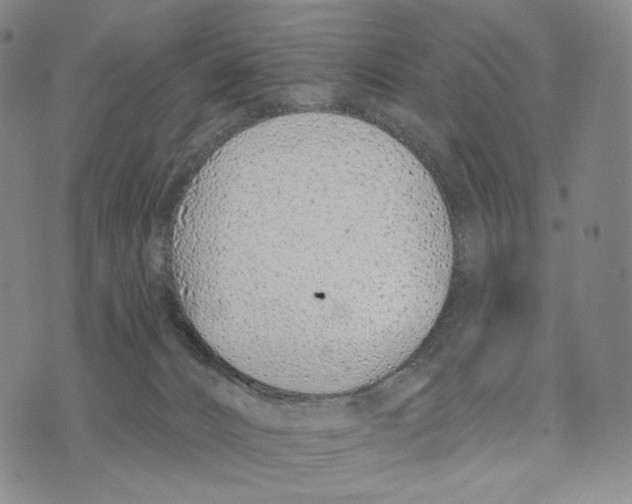 X0000073710032200608311806