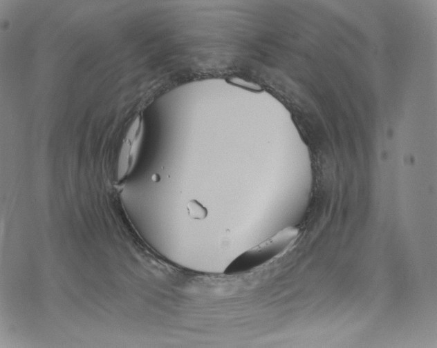 X0000073710033200608311806