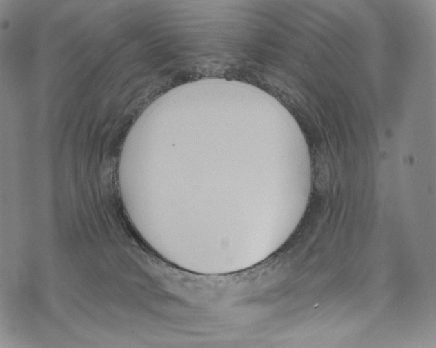 X0000073710034200608311806