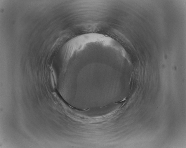 X0000073710035200608311806