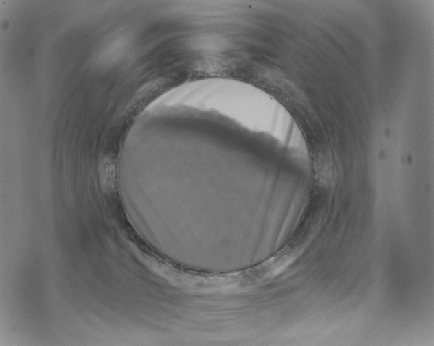 X0000073710036200608311806