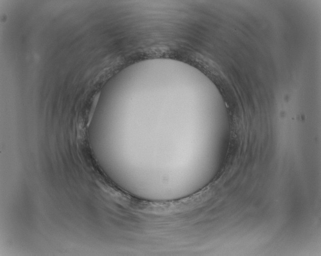 X0000073710037200608311806