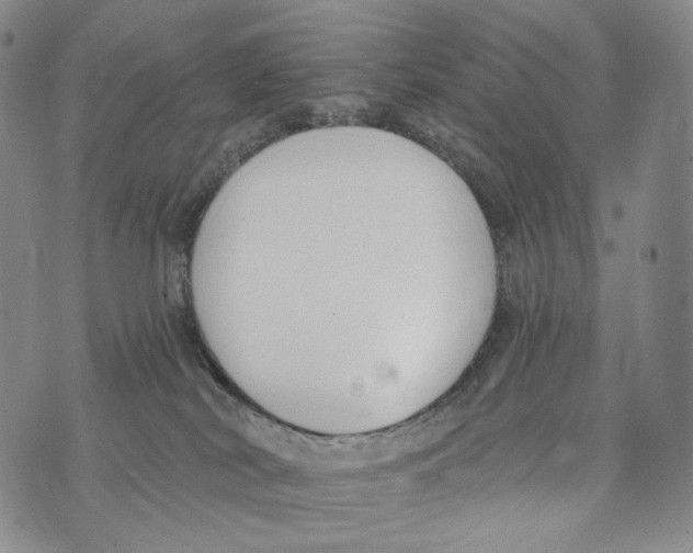 X0000073710038200608311806