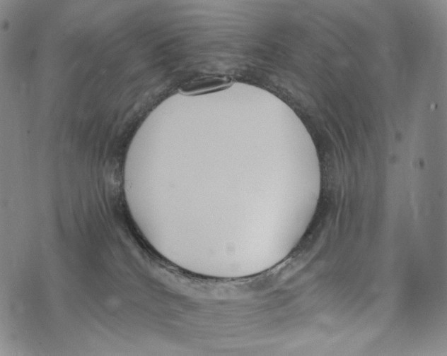 X0000073710040200608311805