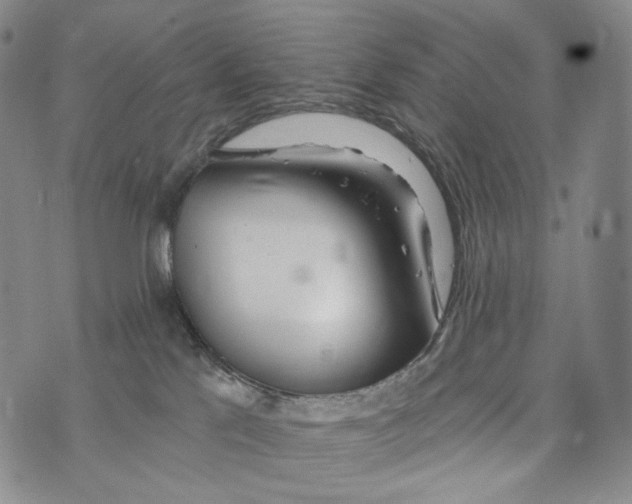 X0000073710041200608311805