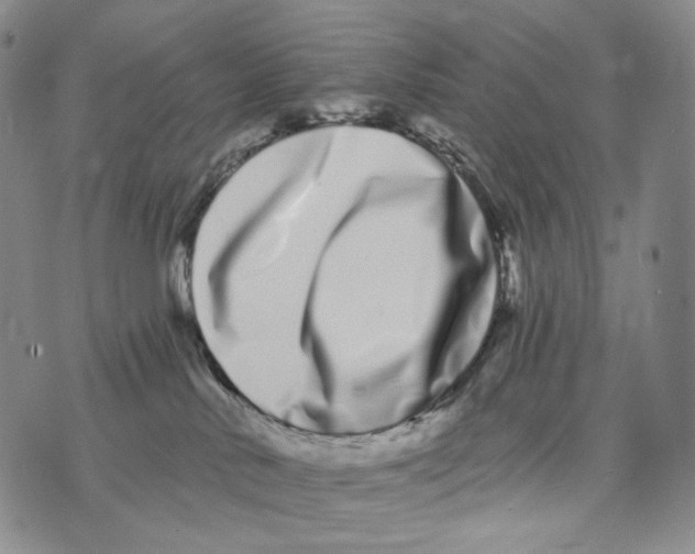 X0000073710042200608311805