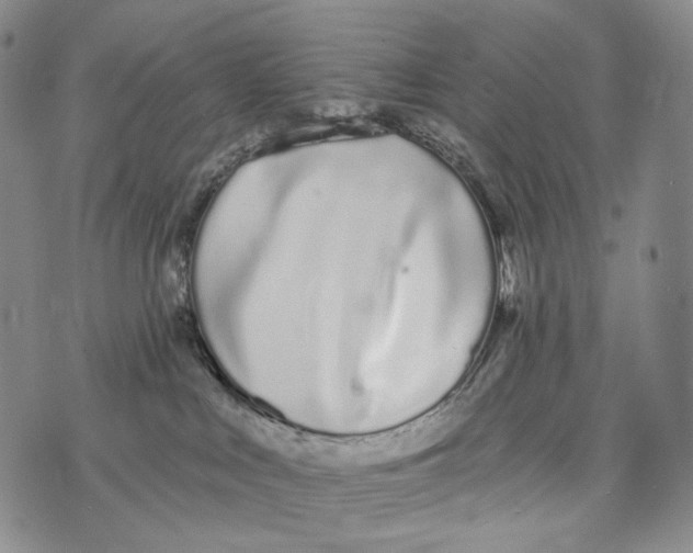 X0000073710043200608311805