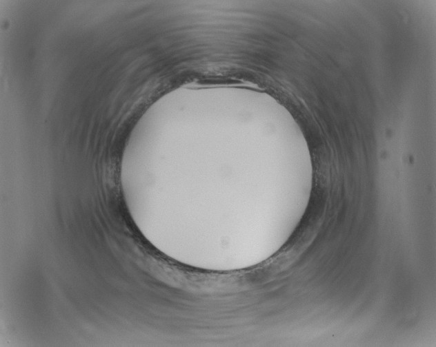 X0000073710044200608311805