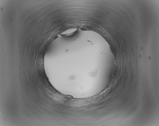 X0000073710045200608311805