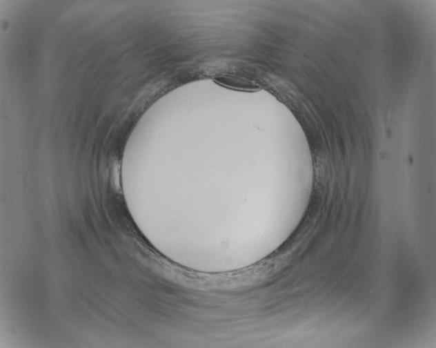 X0000073710046200608311805