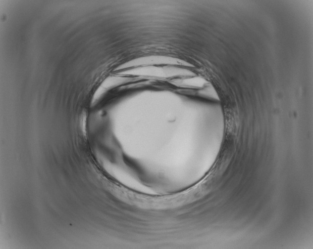 X0000073710047200608311805