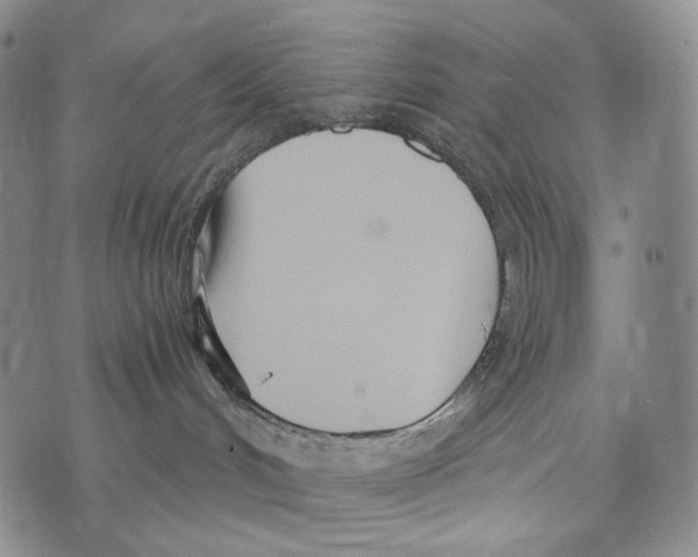 X0000073710048200608311805