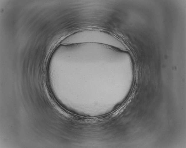 X0000073710049200608311804