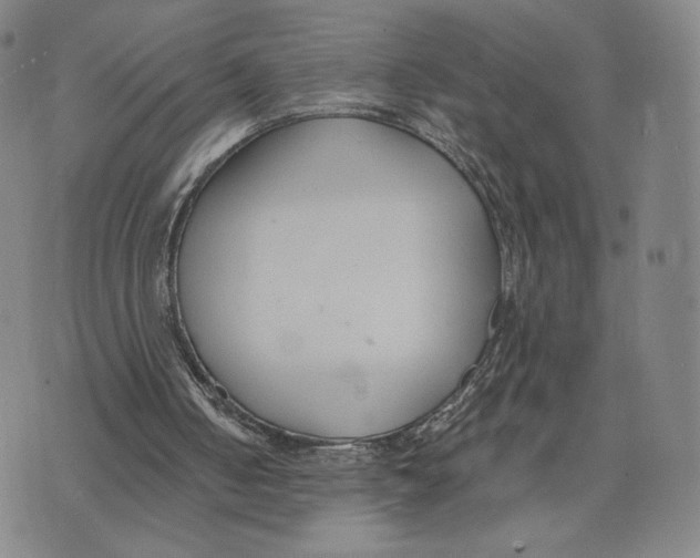 X0000073710050200608311804