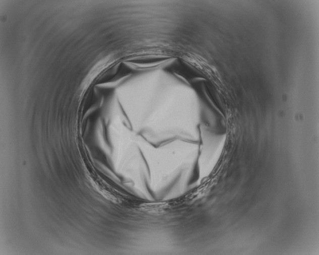 X0000073710051200608311804