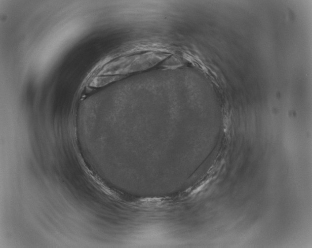 X0000073710052200608311805