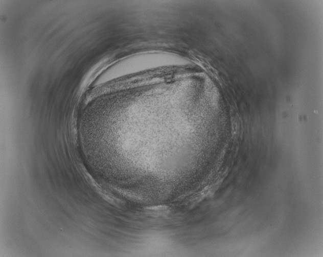 X0000073710053200608311805