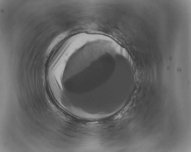 X0000073710054200608311805