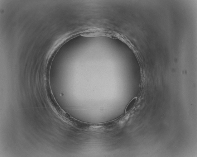 X0000073710055200608311805