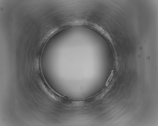 X0000073710057200608311805