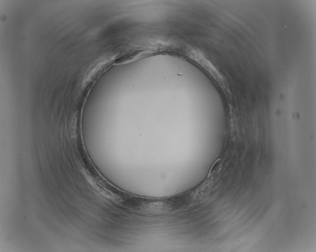 X0000073710058200608311805