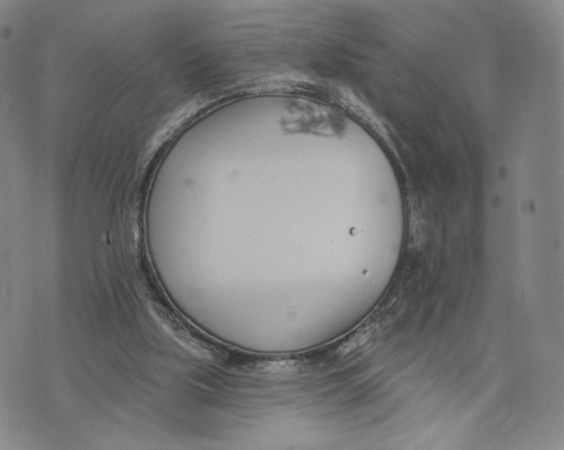 X0000073710059200608311805