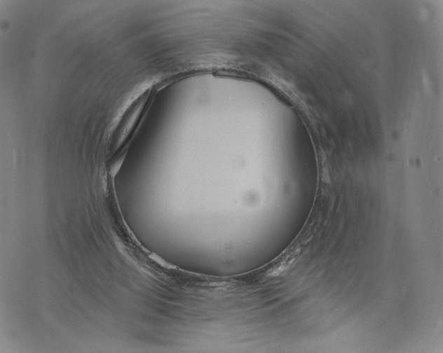 X0000073710060200608311805