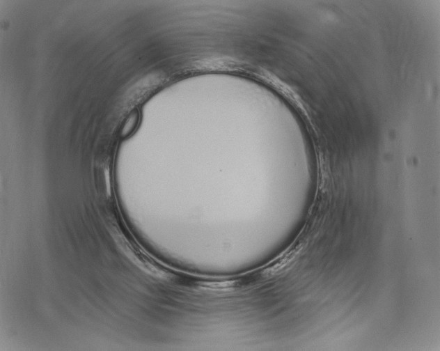 X0000073710061200608311805