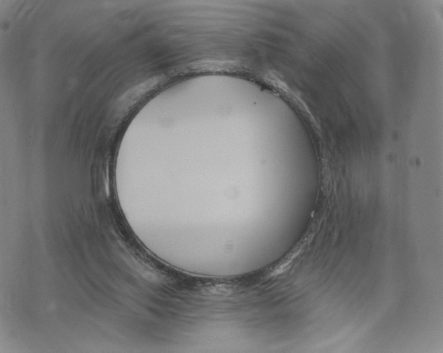 X0000073710062200608311805