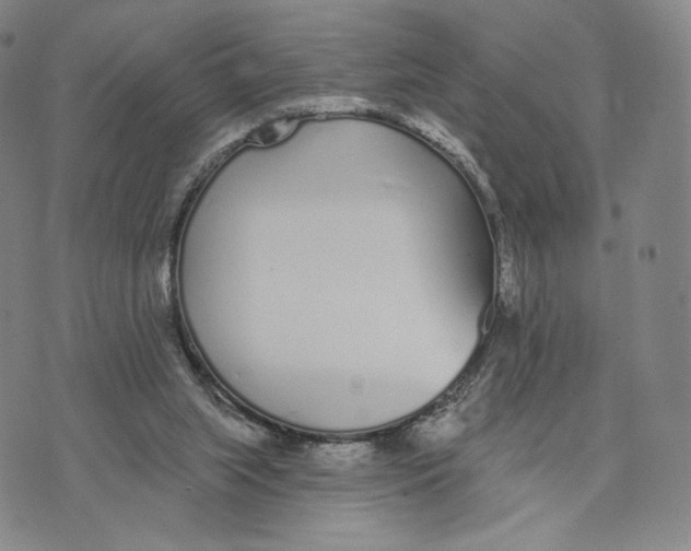 X0000073710063200608311805