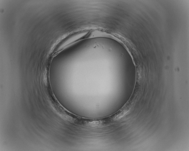 X0000073710064200608311805