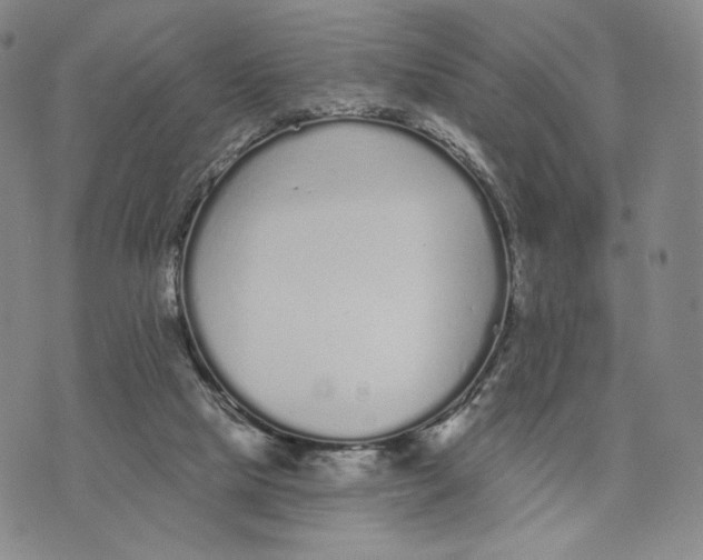 X0000073710065200608311805