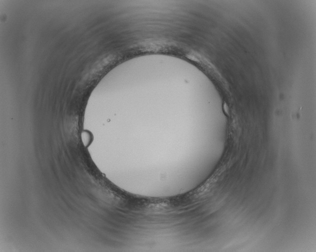 X0000073710066200608311805