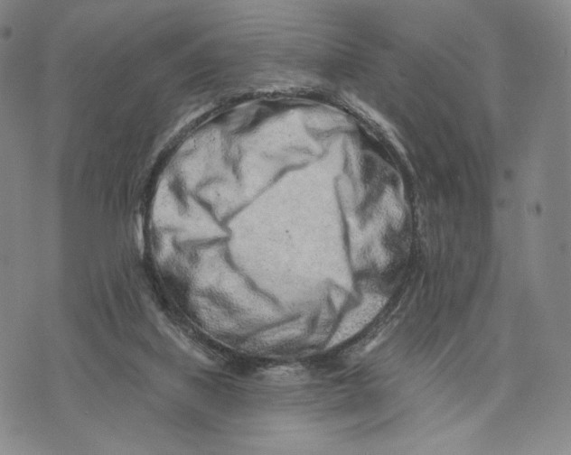 X0000073710067200608311805