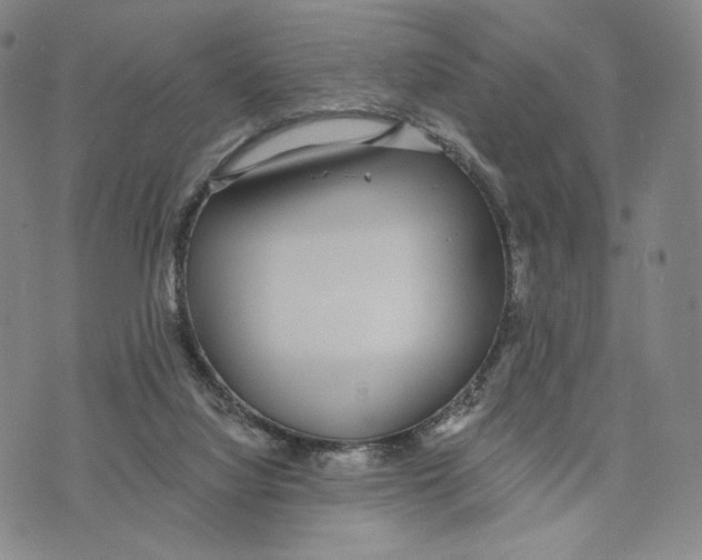 X0000073710068200608311805