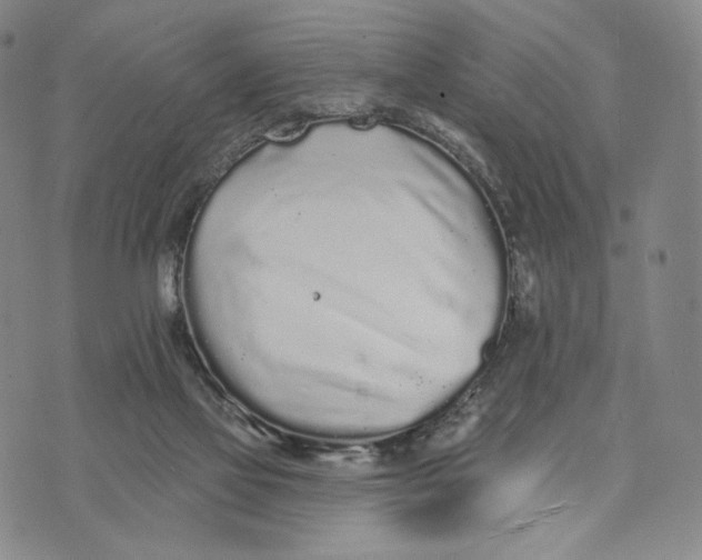 X0000073710069200608311805